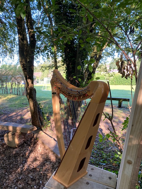 Celtic Harp in Woodland